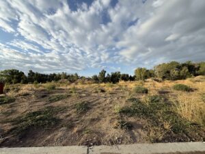494 Tanglewood lot