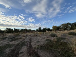 494 Tanglewood lot