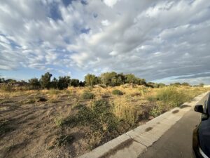 494 Tanglewood lot