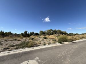494 Tanglewood lot from street